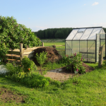 Desain Green House Baja Ringan yang Cocok untuk Lahan Sempit